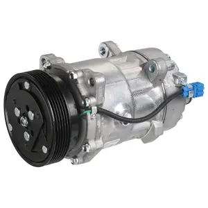 Compressor, air conditioning (WG2041361)