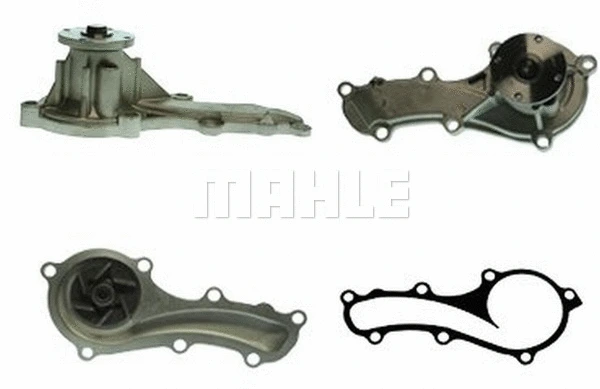 Water Pump, engine cooling (WG2181566)