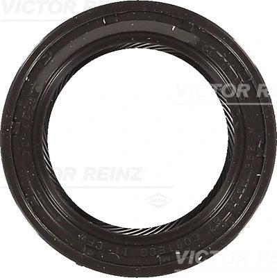 Shaft Seal, crankshaft (WG1250253)