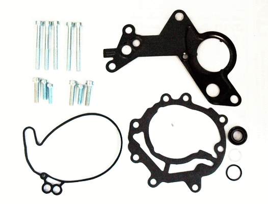 Repair Set, vacuum pump (braking system) (WG2263283)
