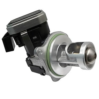 EGR Valve (WG1015353)