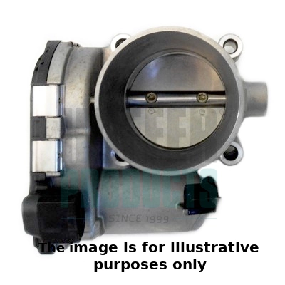 Throttle Body (WG1893414)