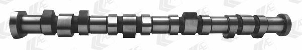 Camshaft (WG1939159)