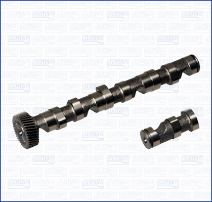Camshaft (WG1456383)