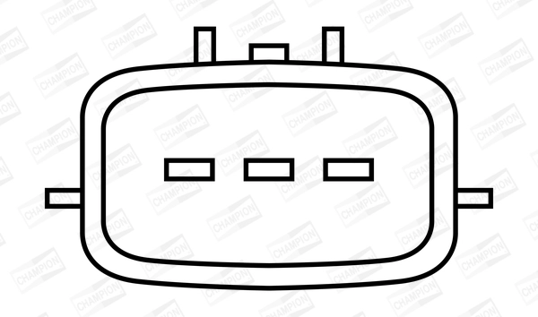 Ignition Coil (WG2009120)