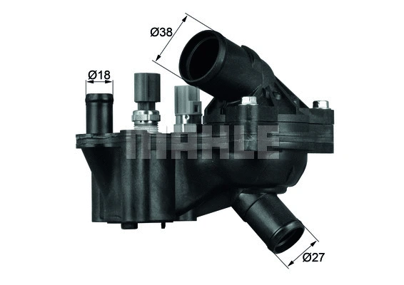 Thermostat, coolant (WG1262738)