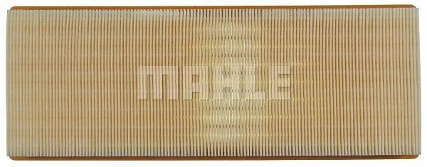 Air Filter (WG1216338)