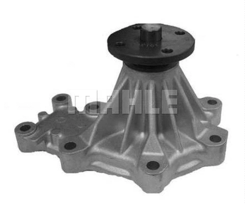 Water Pump, engine cooling (WG2181684)