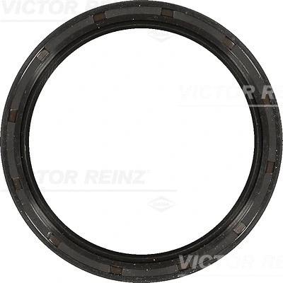 Shaft Seal, crankshaft (WG1250261)