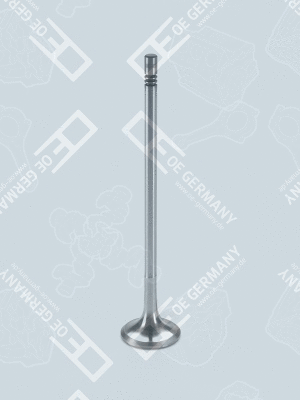 Intake Valve (WG1485764)