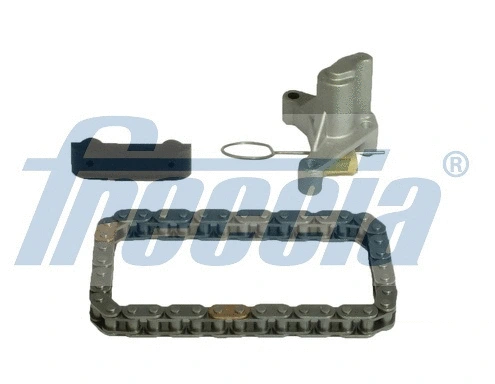 Timing Chain Kit (WG1910003)