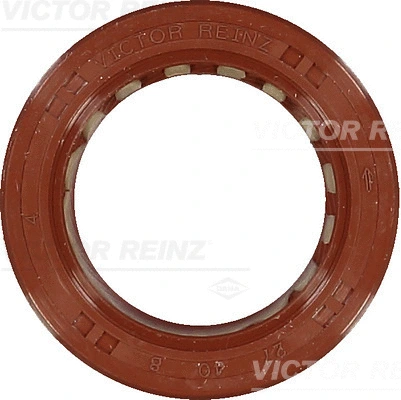 Shaft Seal, crankshaft (WG1250391)