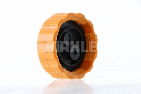 Cap, coolant tank