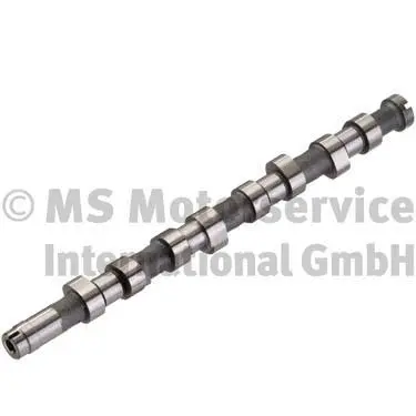 Camshaft (WG1017696)