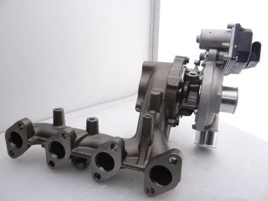 Charger, charging (supercharged/turbocharged) (WG2139646)