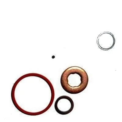 Repair Kit, injection nozzle (WG2263550)