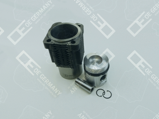 Repair Set, piston/sleeve (WG1485552)