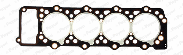 Gasket, cylinder head (WG1177691)
