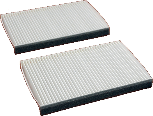 Filter, cabin air (WG1747265)