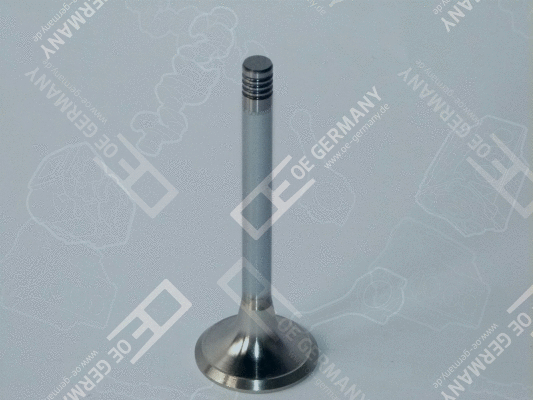 Intake Valve (WG1485213)