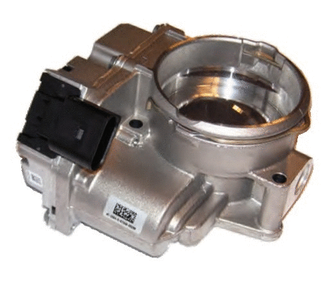 Throttle Body (WG1013529)