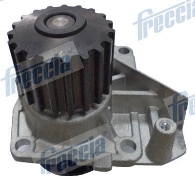 Water Pump, engine cooling (WG1910102)