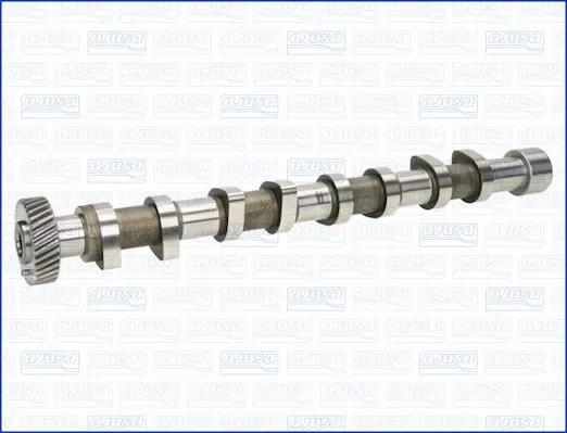 Camshaft (WG1456834)