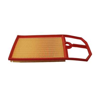 Air Filter (WG2152059)