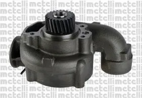 Water Pump, engine cooling (WG1790791)