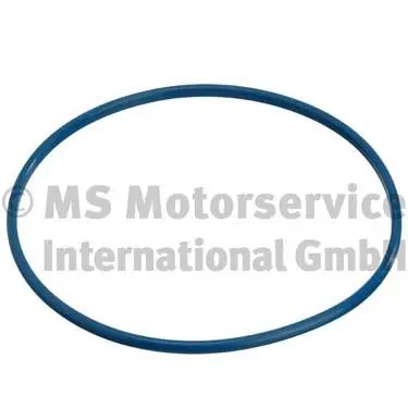 Seal, fuel tank cap (WG1025401)