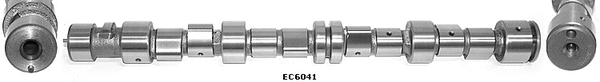 Camshaft (WG1051548)