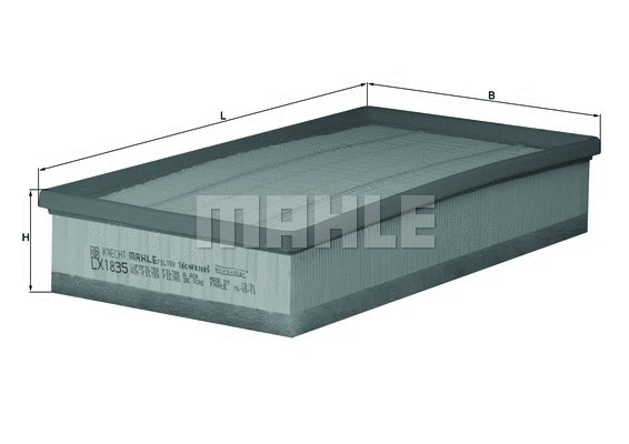 Air Filter (WG1216093)