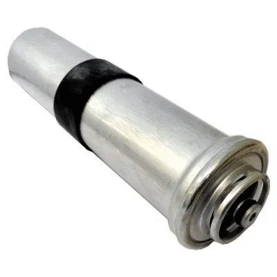Fuel Filter (WG1748156)