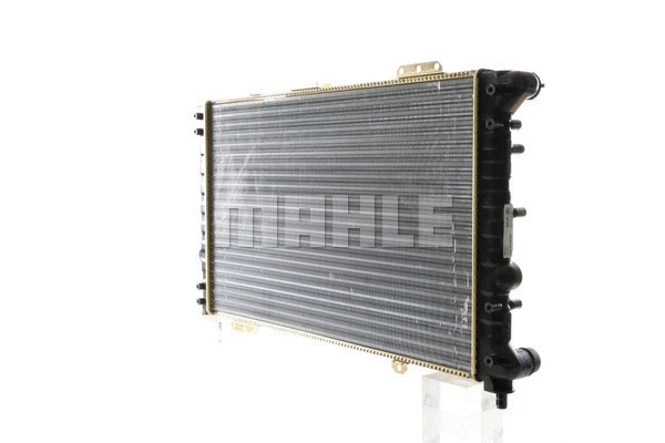 Radiator, engine cooling (WG2182602)
