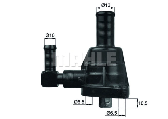 Thermostat, coolant (WG1217655)