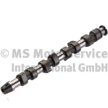 Camshaft (WG1017569)
