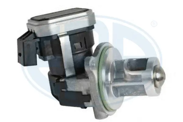 EGR Valve (WG1494658)