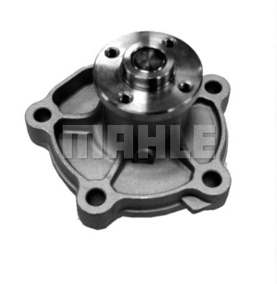 Water Pump, engine cooling (WG2181694)
