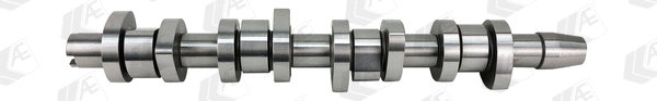 Camshaft (WG1462599)