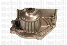 Water Pump, engine cooling (WG1790031)
