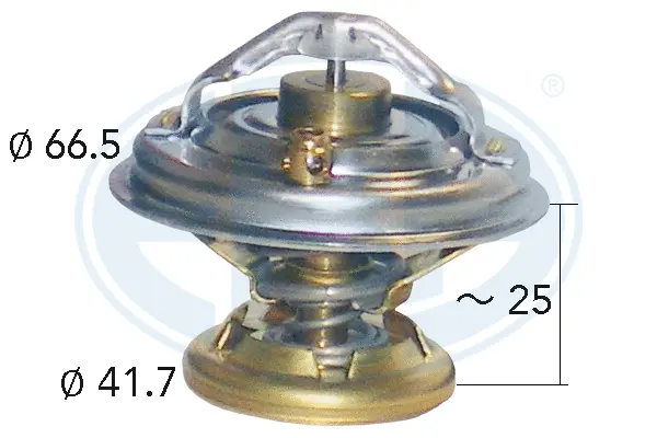 Thermostat, coolant (WG1492854)