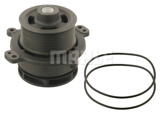 Water Pump, engine cooling (WG2181829)