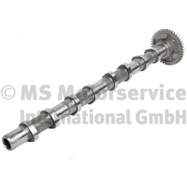 Camshaft (WG1967296)