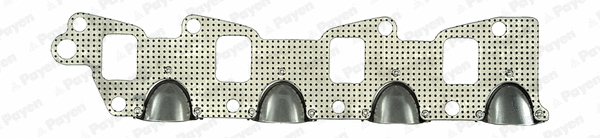 Gasket, exhaust manifold (WG1181659)