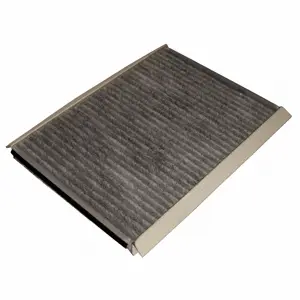 Filter, cabin air (WG1774653)