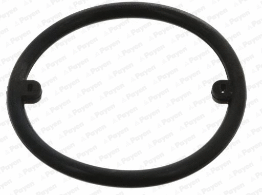 Seal Ring, oil cooler (WG1177336)