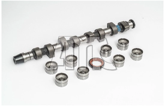 Camshaft Kit (WG2010616)