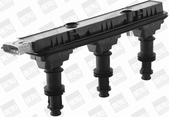 Ignition Coil (WG1487615)