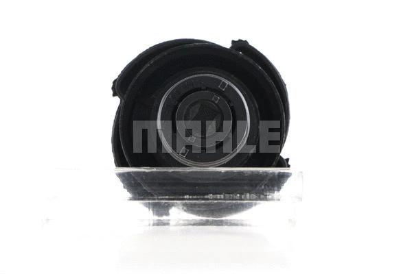 Cap, coolant tank (WG2184230)