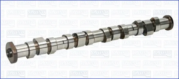 Camshaft (WG1456479)